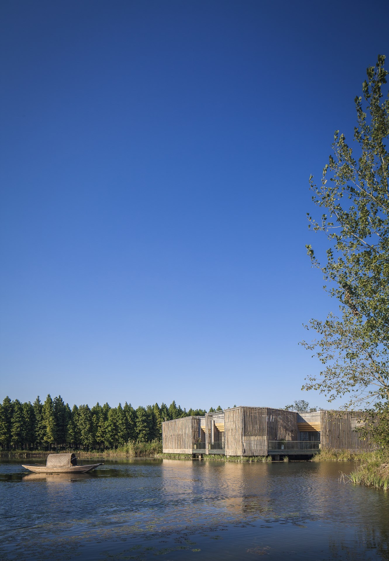 tea garden，Chinese style，Architectural design，