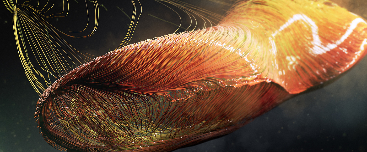 Running shoes，Nike，texture of material，