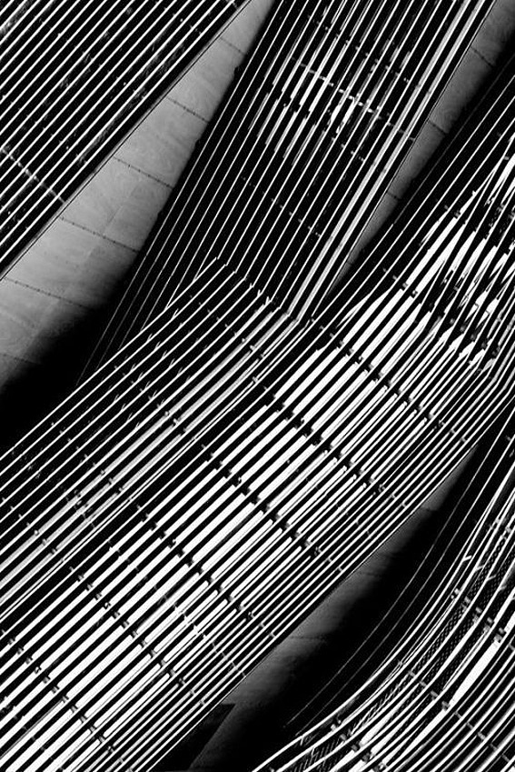 black，automobile，Motorcycle，texture of material，Wrist watch，Wiper，
