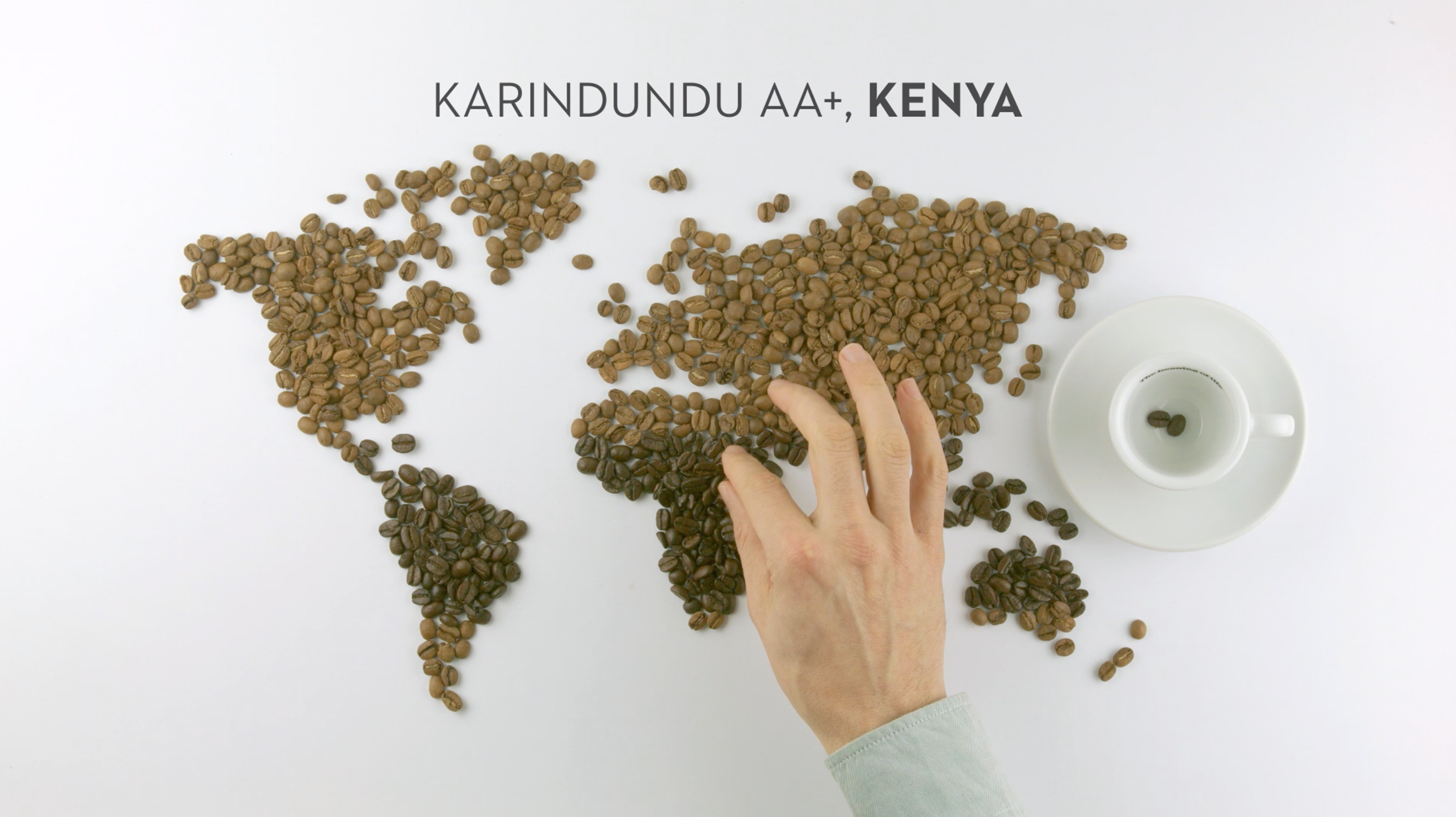 Coffee，bean，Smallest coffee，