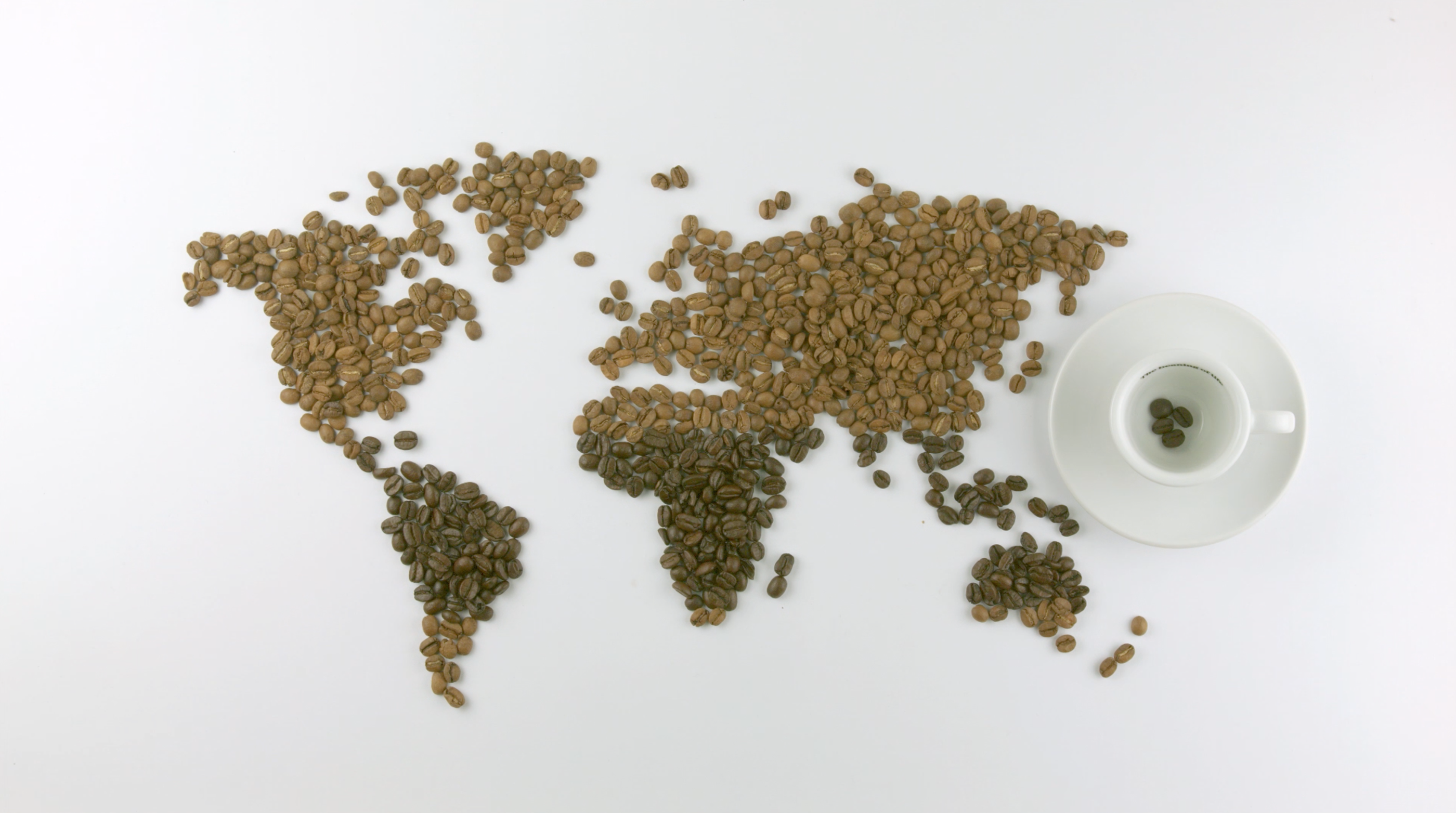 Coffee，bean，Smallest coffee，