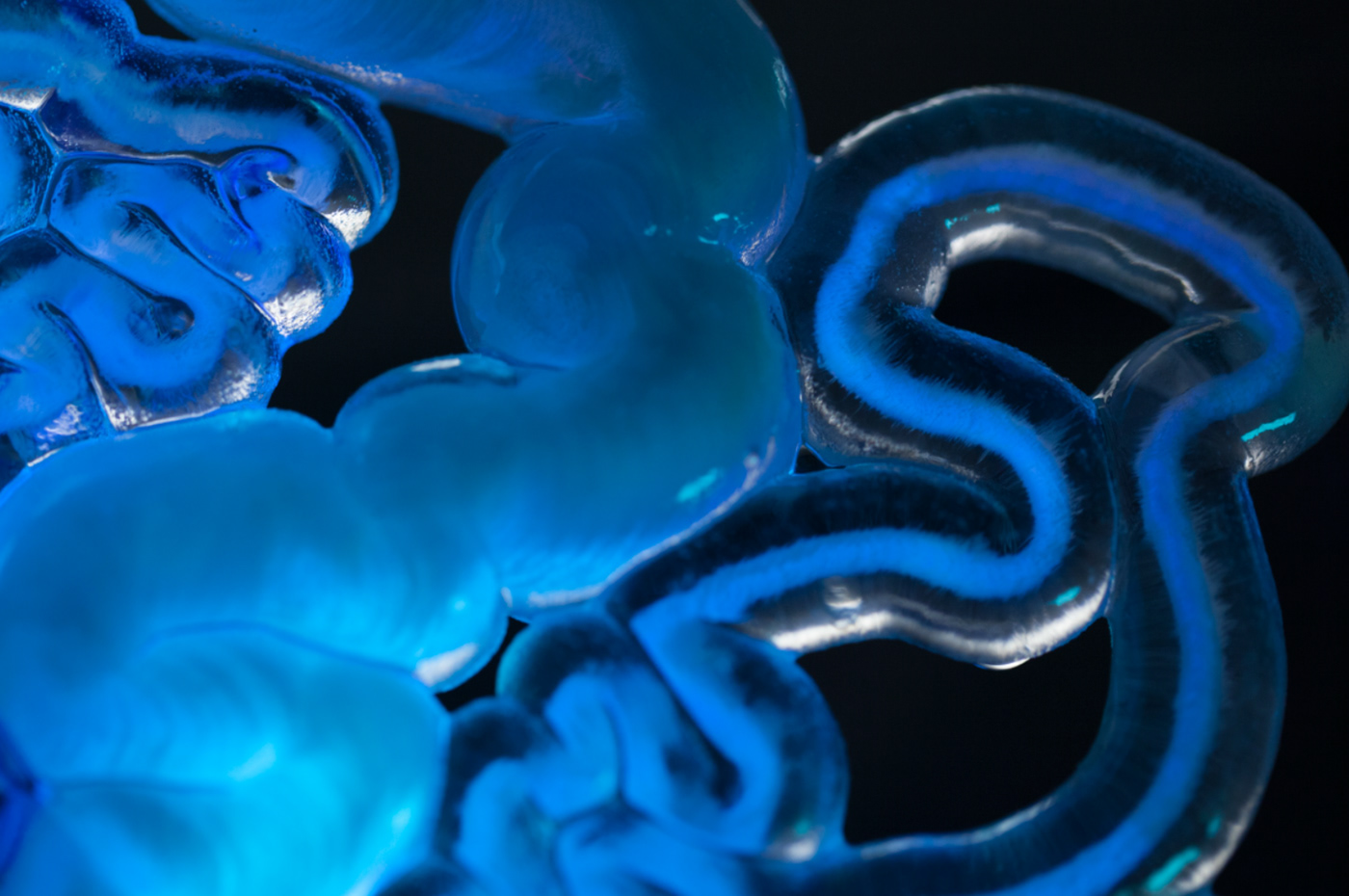 biology，photosynthesis，Wearable ，Living Mushtar，