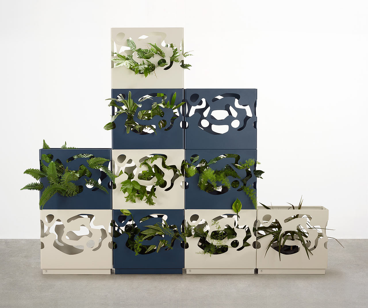 Georgina Reid，Tait，GardenWall，Botany，Home Furnishing，