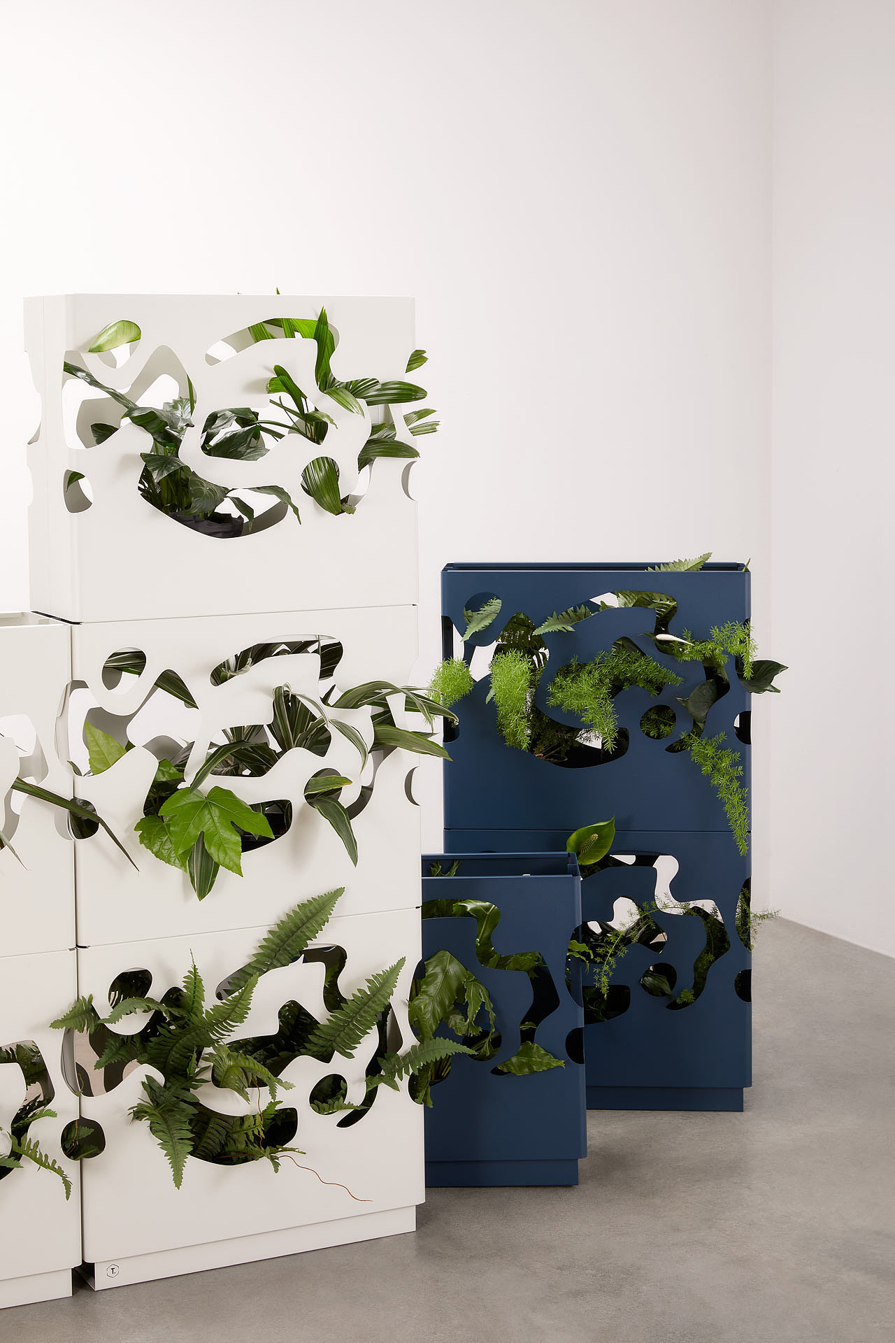 Georgina Reid，Tait，GardenWall，植物，家居，