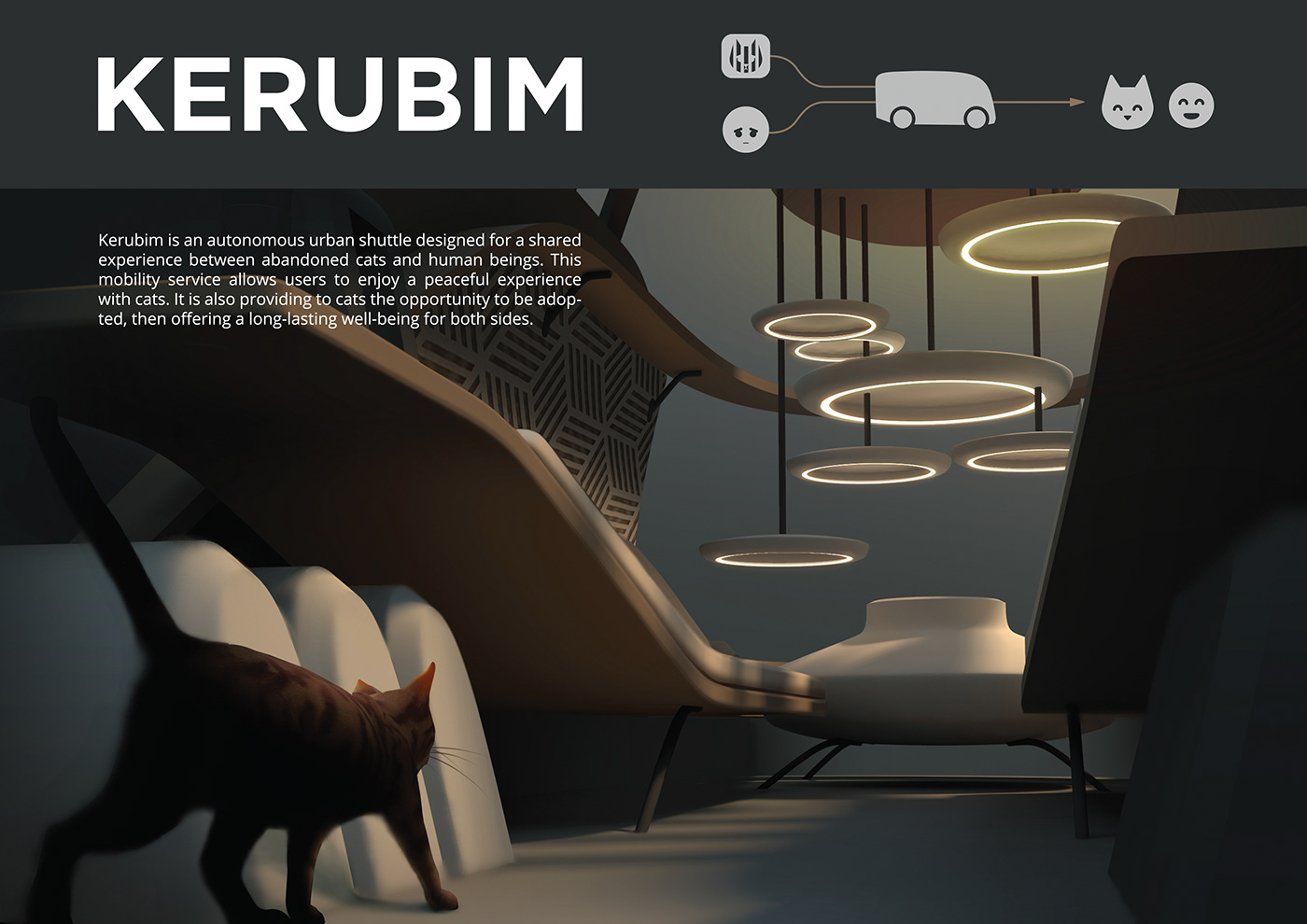 Pets，KERUBIM，bmw，bmw，vehicle，automobile，traffic，