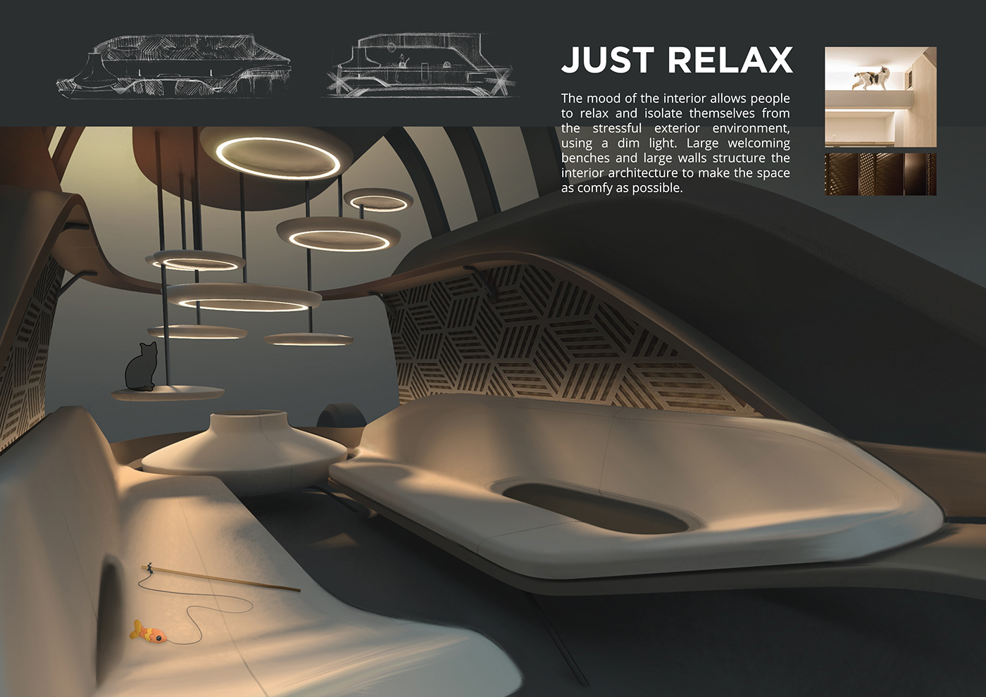 Pets，KERUBIM，bmw，bmw，vehicle，automobile，traffic，