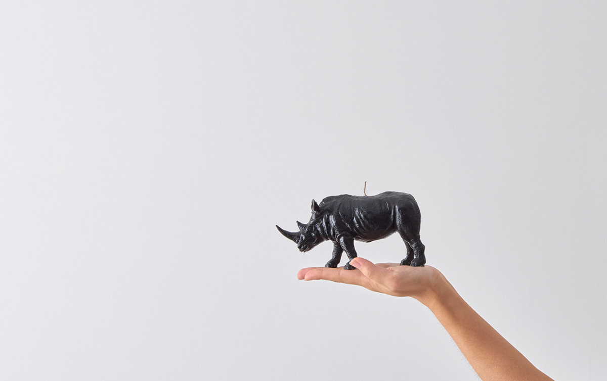 Artwork，Tabletop ，Animal Paperweight，HAOSHI，