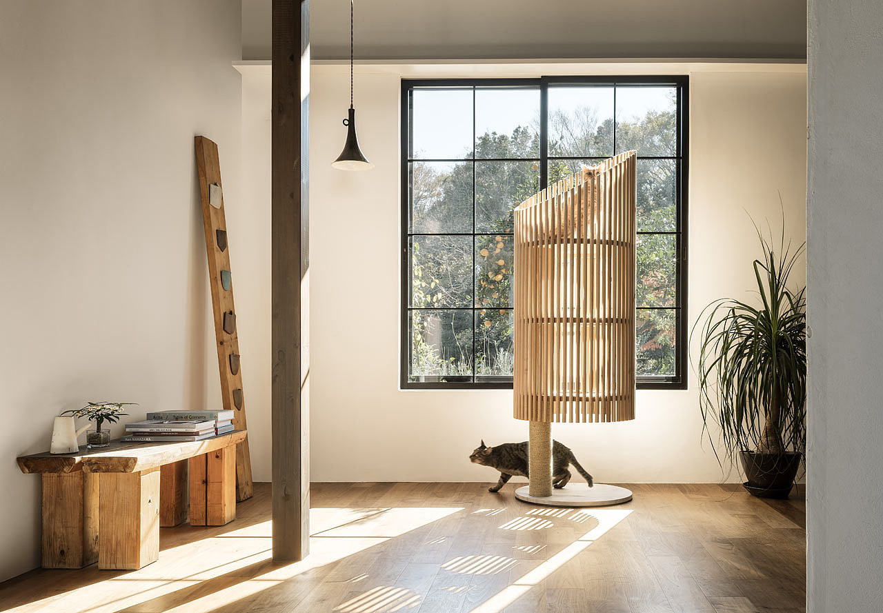 Someone，Cat tree，Home，Pets，Kitty，RINN，