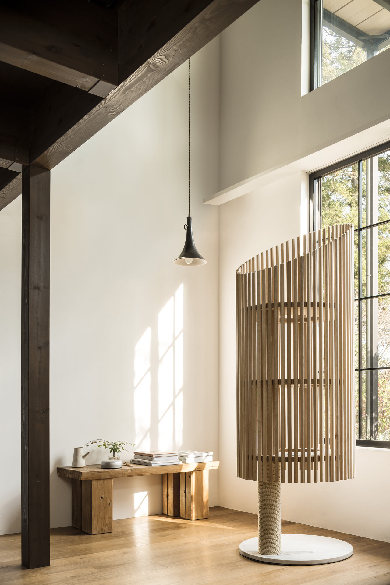 Someone，Cat tree，Home，Pets，Kitty，RINN，