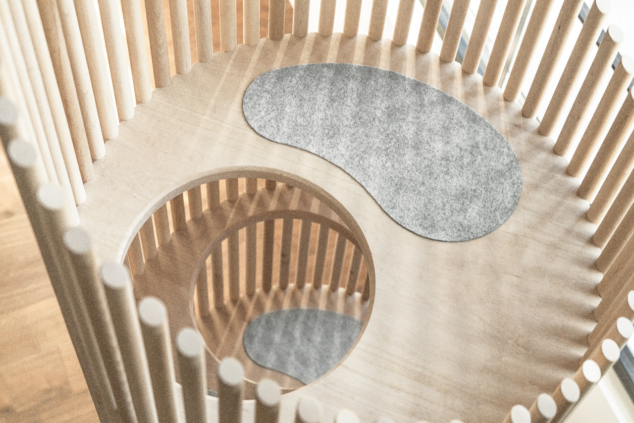 Someone，Cat tree，Home，Pets，Kitty，RINN，