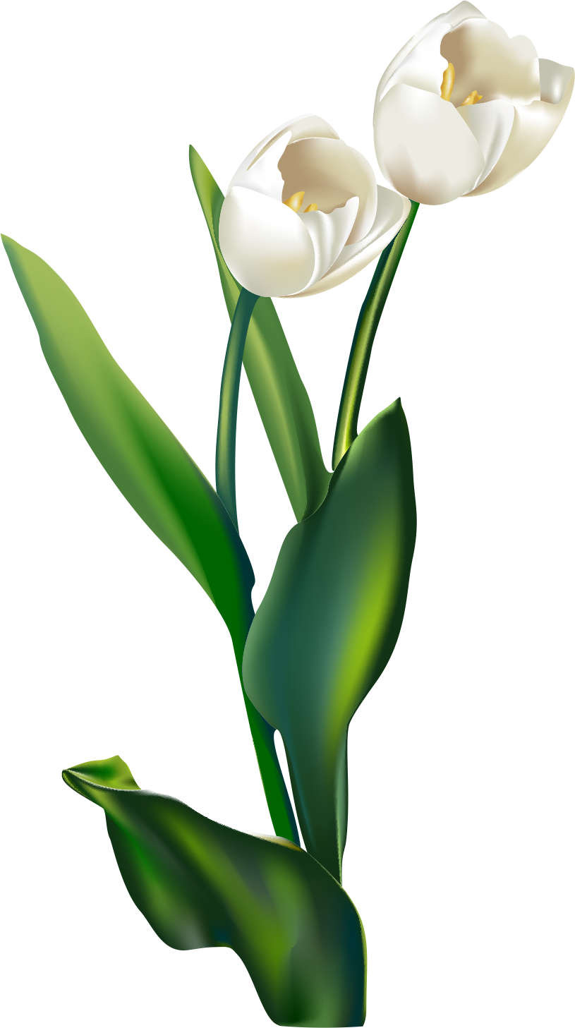 CDR，traditional Chinese painting，CDR plant painting，puppy，