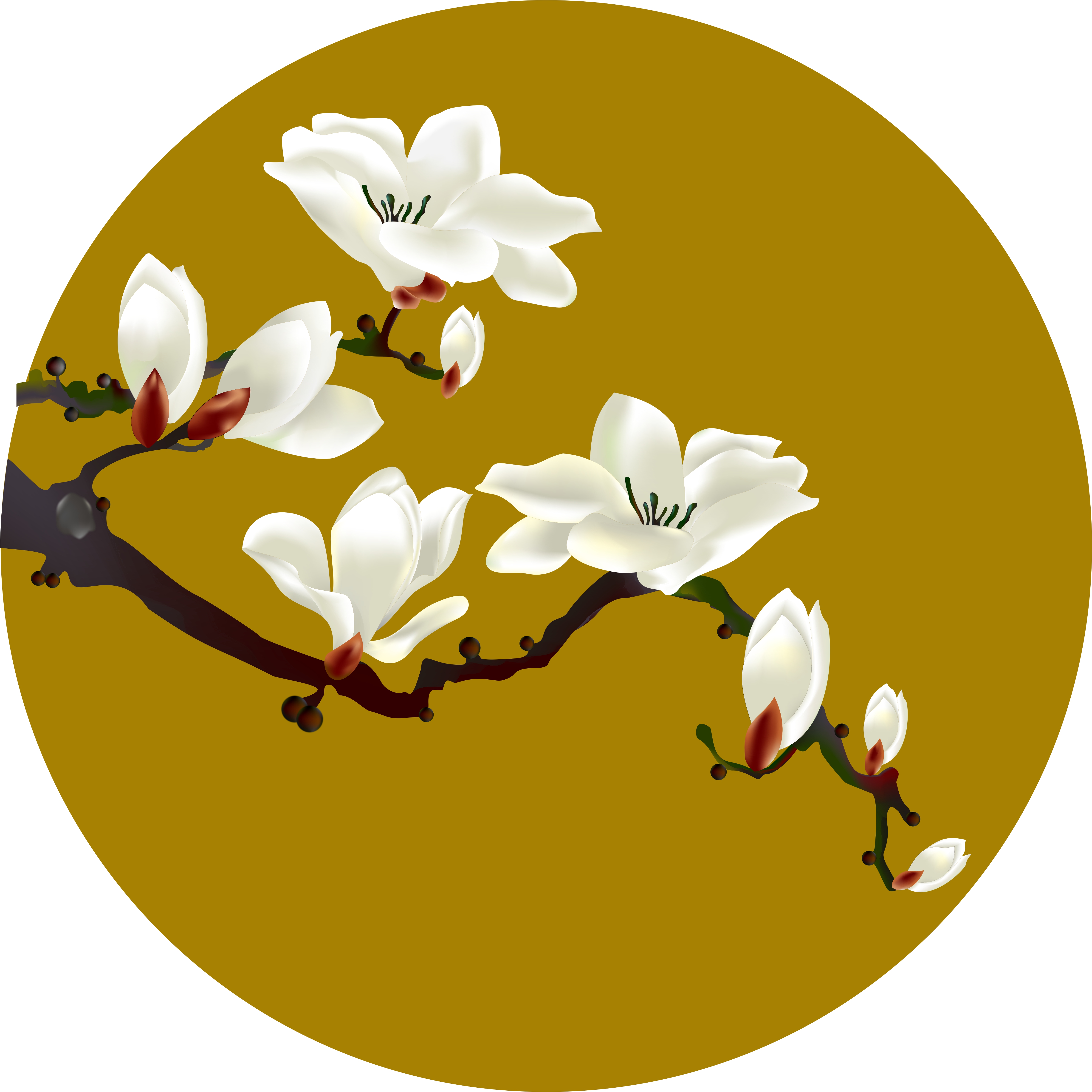 CDR，traditional Chinese painting，CDR plant painting，puppy，