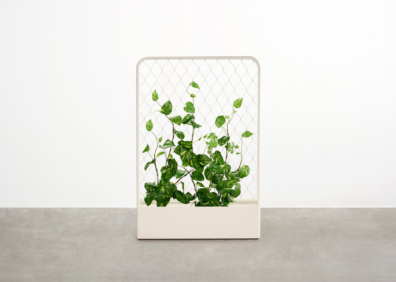 Organic，plant，Family Farm，