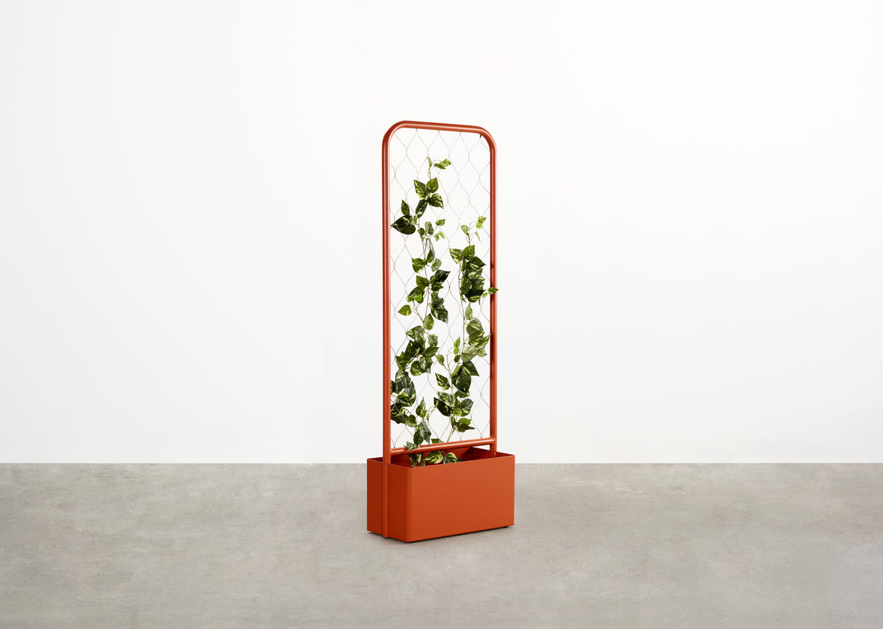 Organic，plant，Family Farm，