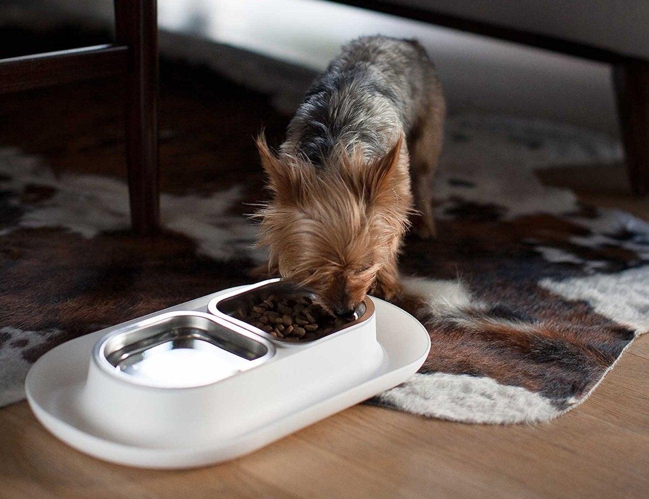 Food Basin，Pets，stainless steel，other，