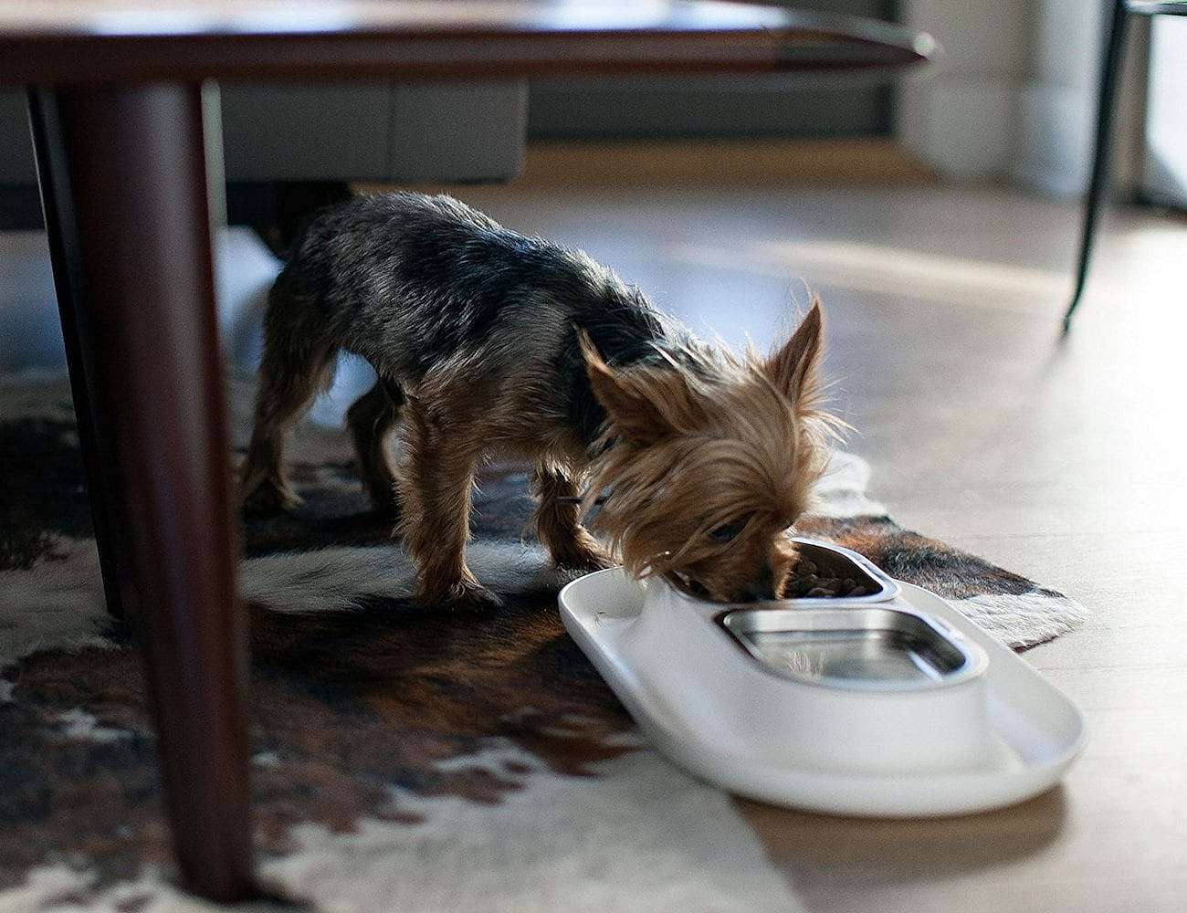 Food Basin，Pets，stainless steel，other，
