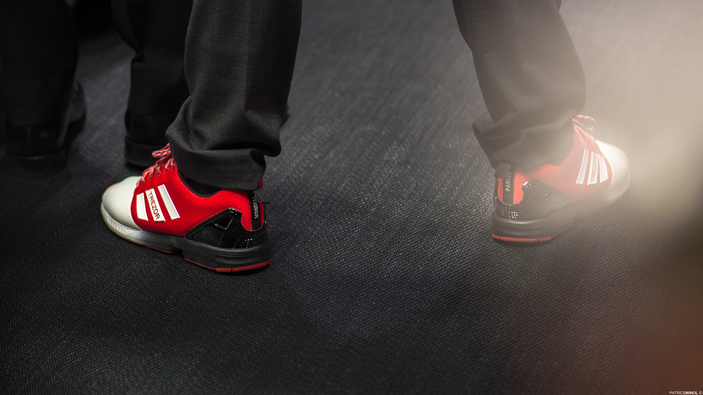 Paris Auto Show，treasurer，two thousand and sixteen，