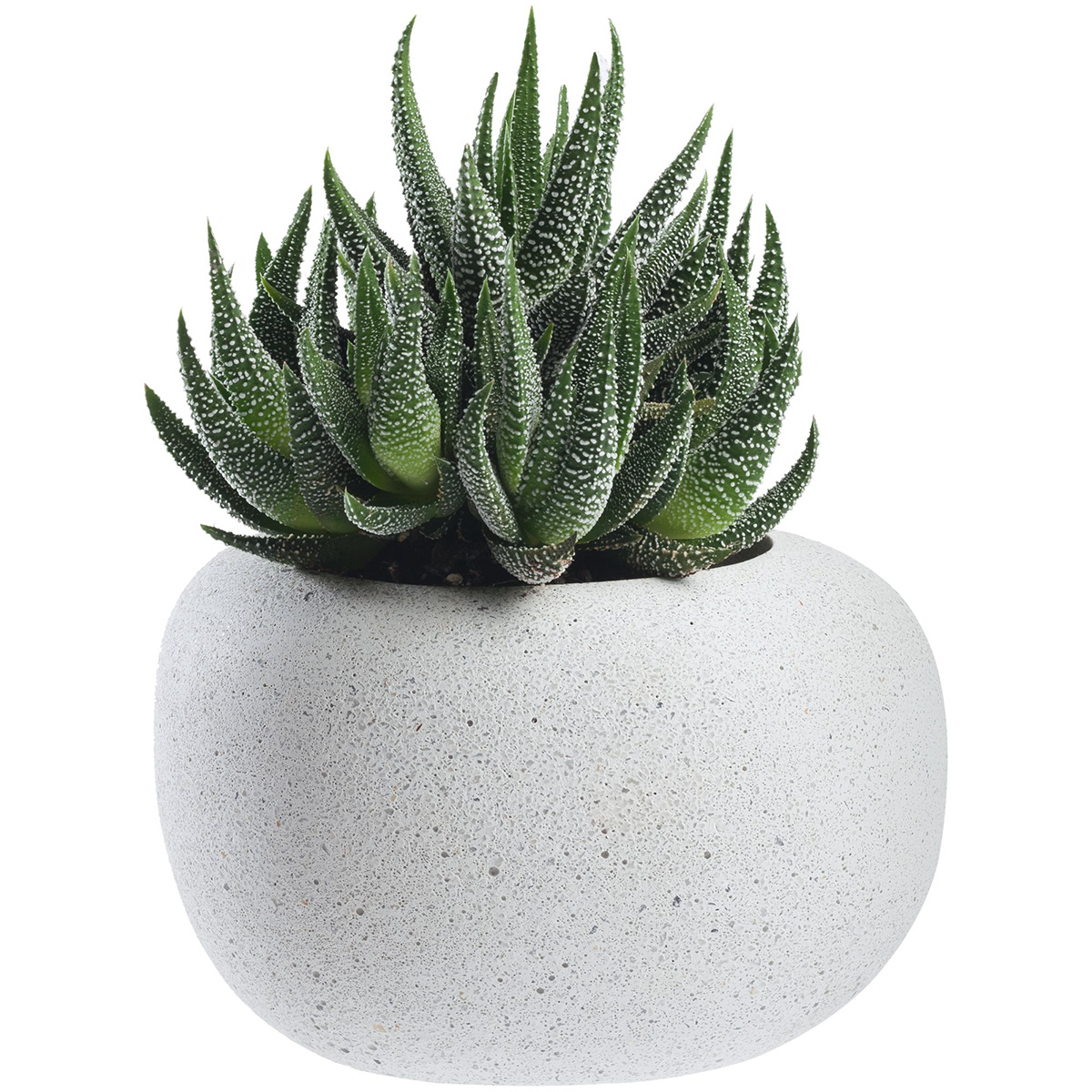 Home Furnishing，concrete，Share-On-Stone，indoor，decorate，