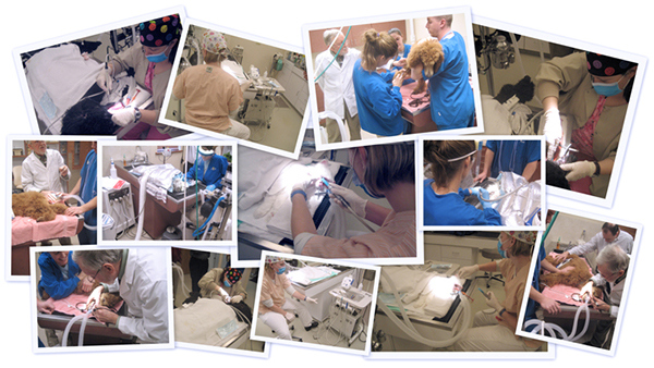 industrial design，product design，Medical equipment，