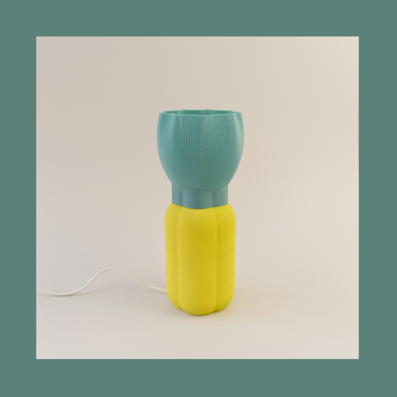 3d，lamps and lanterns，Anemone，bloom，