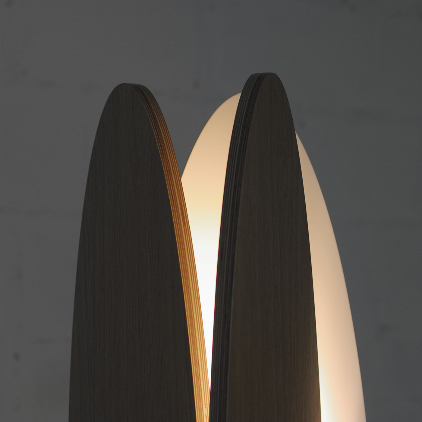Floor lamp，lighting，Ova lamps，
