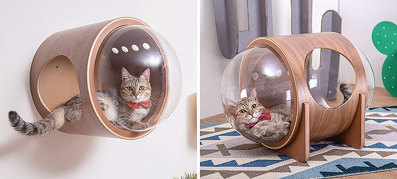 industrial design，cat，