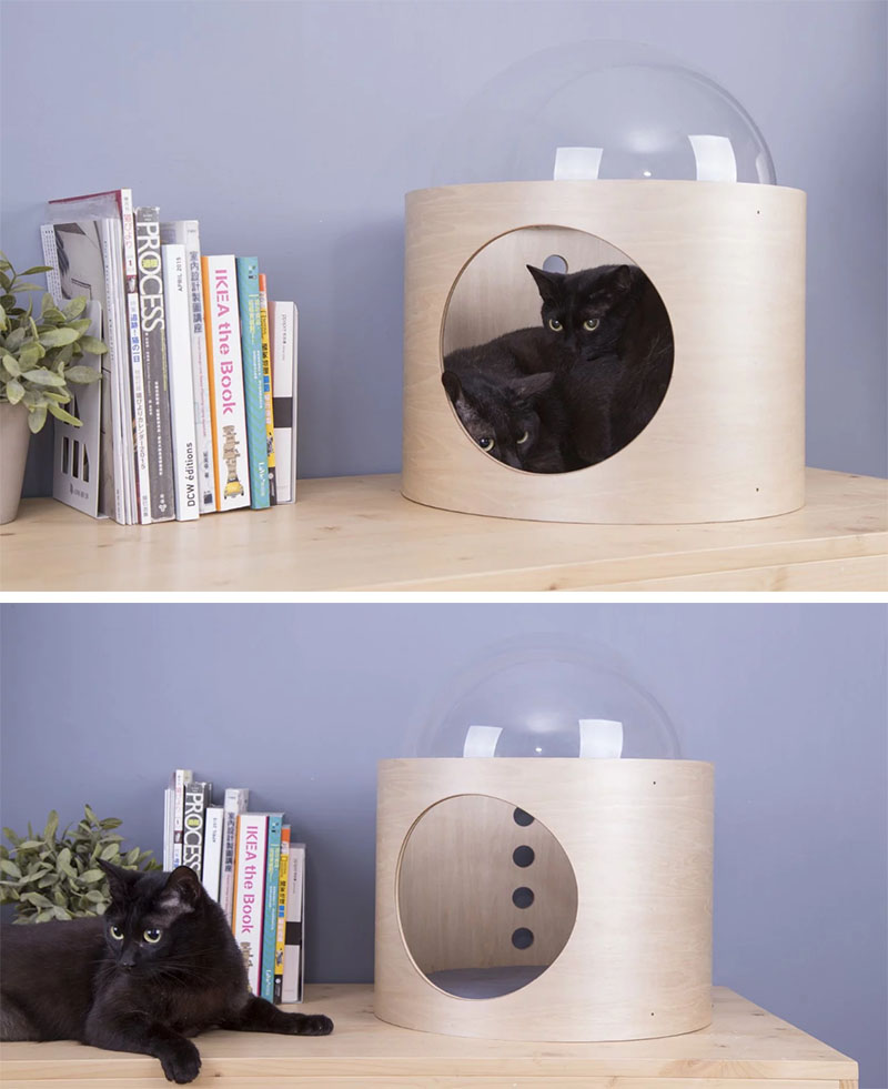 industrial design，cat，