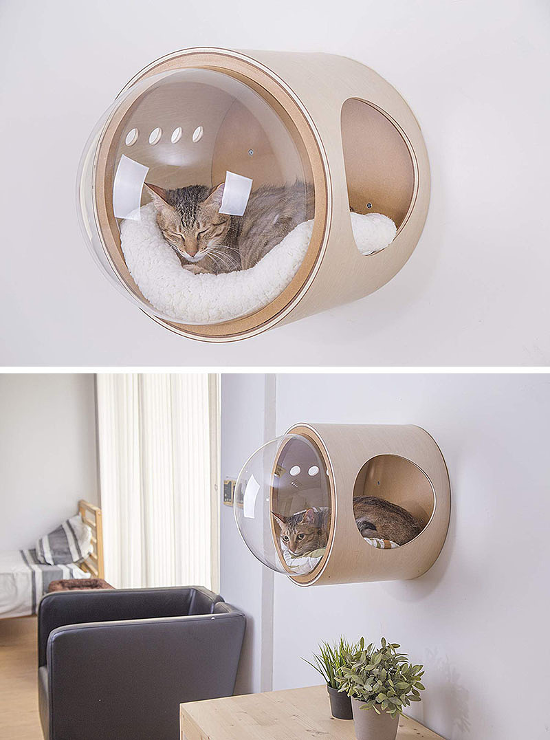 industrial design，cat，