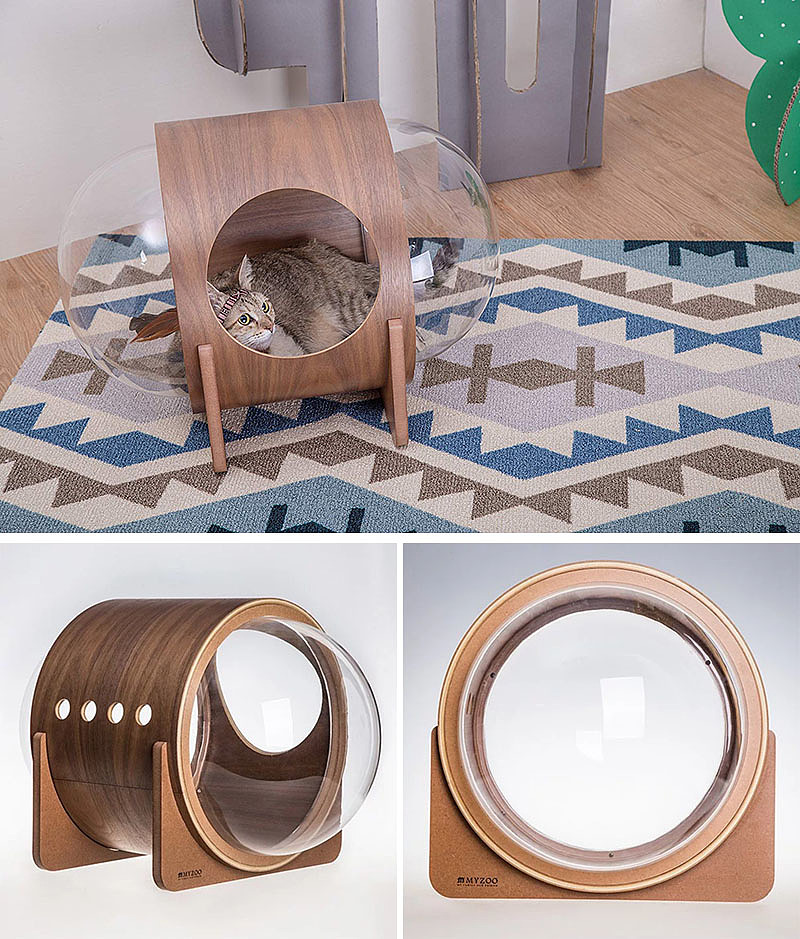 industrial design，cat，