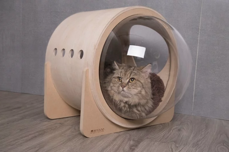 industrial design，cat，