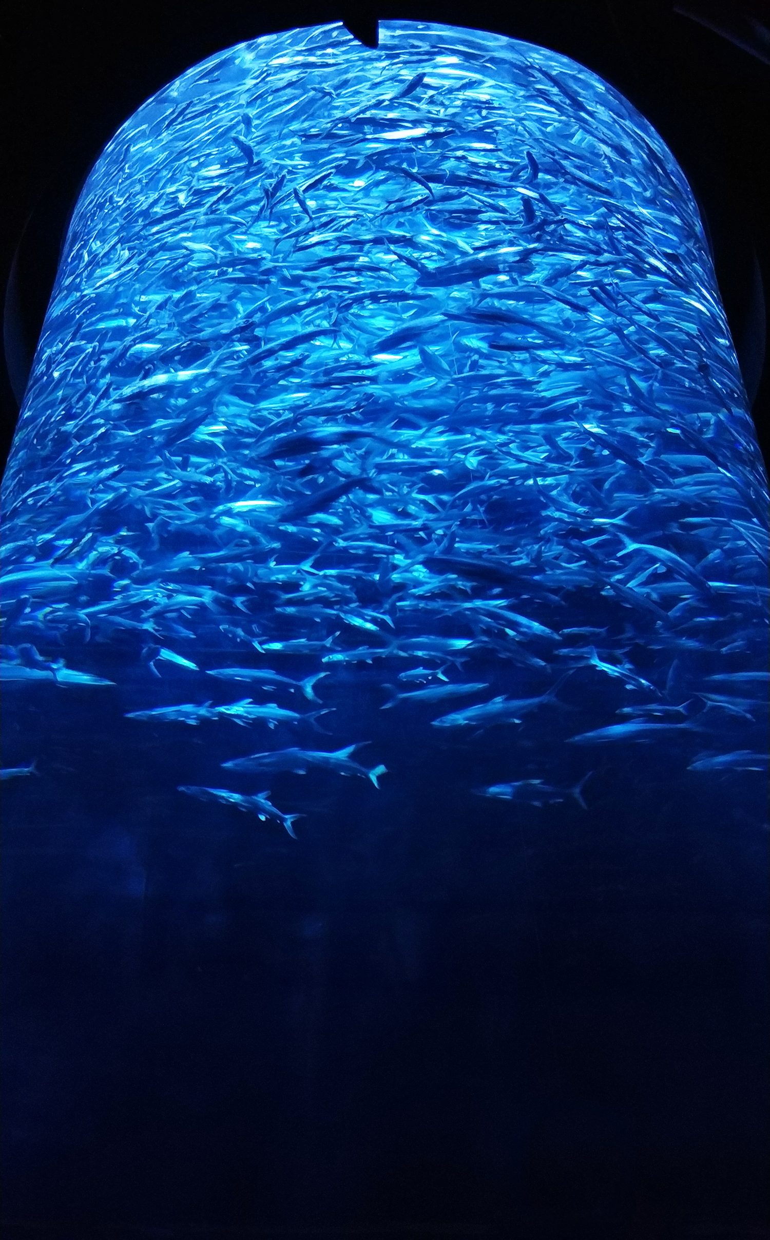 industrial design，Sato Da，Naoto Fukasawa ，Scratch your head, Aggie，