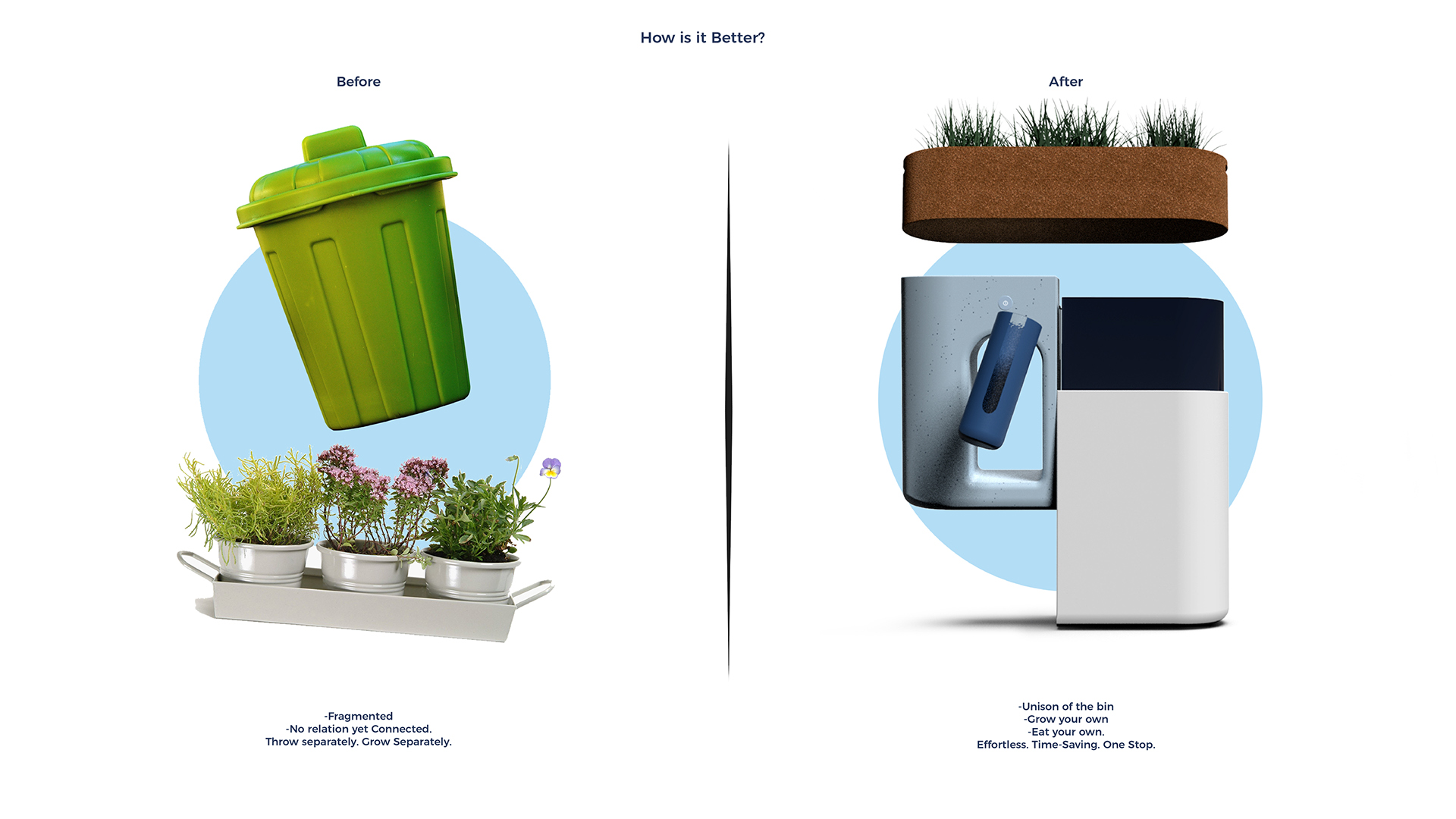 healthy，green，Botany，food，GAIA，