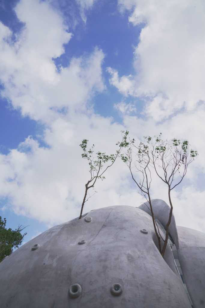 Industrial style，Branch bifurcation，Curve modeling，Creative landscape，Original ecology，Modern fashion，Bionics Design ，Architectural design，