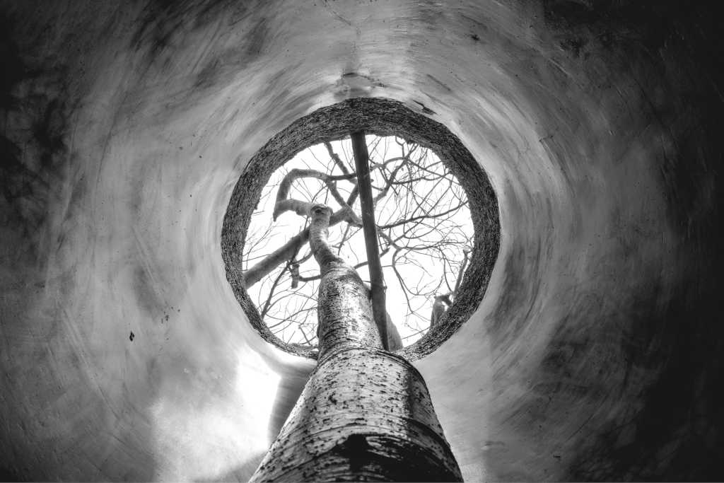 Industrial style，Branch bifurcation，Curve modeling，Creative landscape，Original ecology，Modern fashion，Bionics Design ，Architectural design，