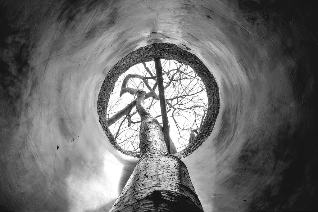 Industrial style，Branch bifurcation，Curve modeling，Creative landscape，Original ecology，Modern fashion，Bionics Design ，Architectural design，
