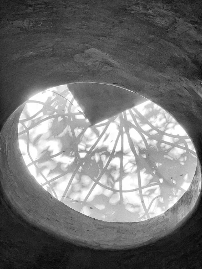 Industrial style，Branch bifurcation，Curve modeling，Creative landscape，Original ecology，Modern fashion，Bionics Design ，Architectural design，