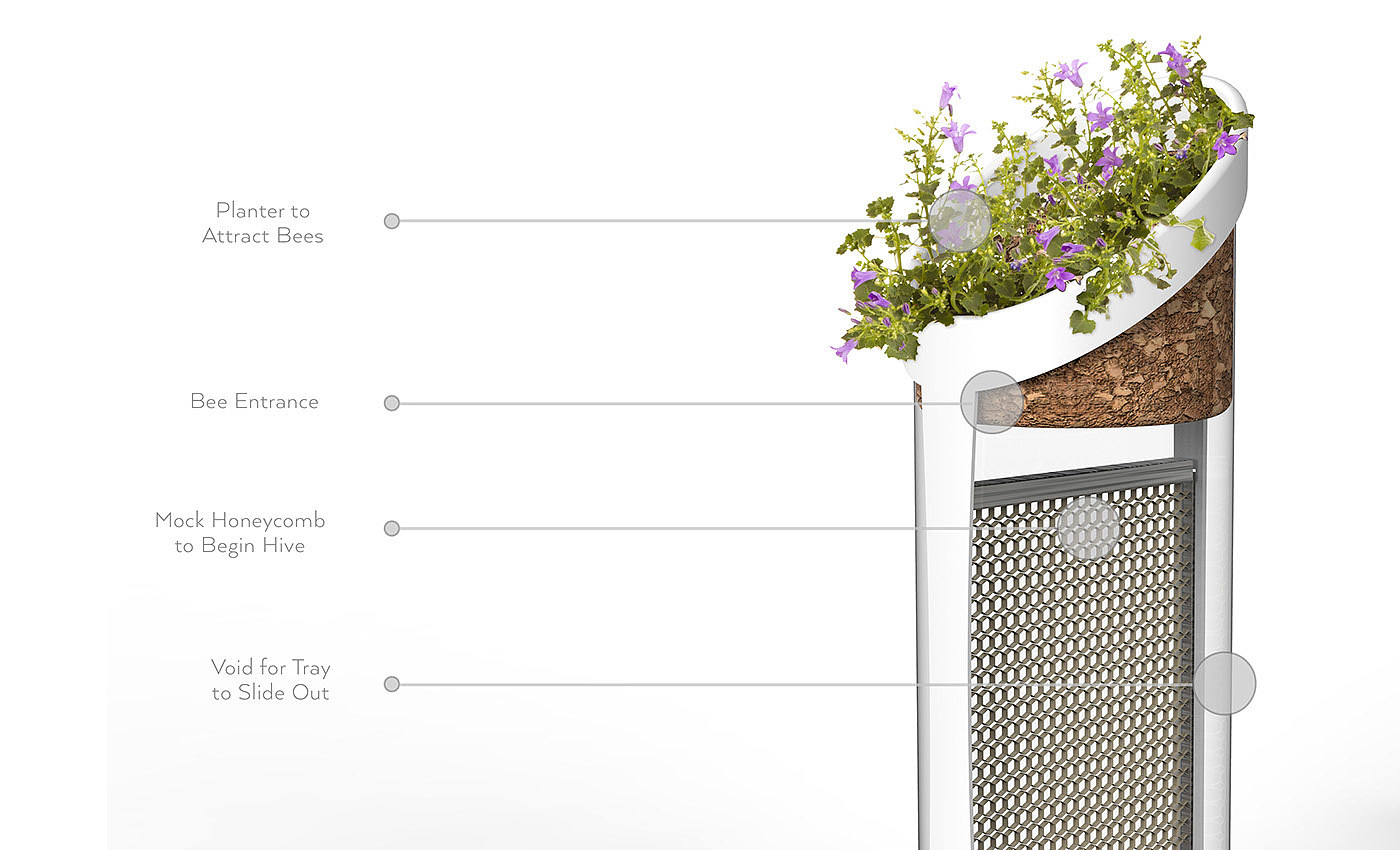 ecology，environment，city，honeybee，raise，