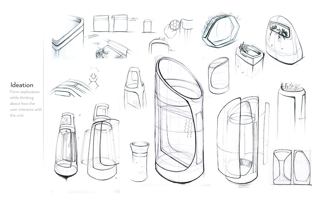 ecology，environment，city，honeybee，raise，