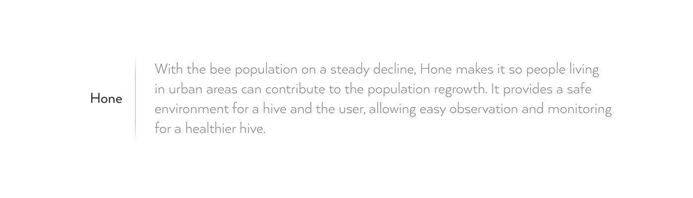 ecology，environment，city，honeybee，raise，