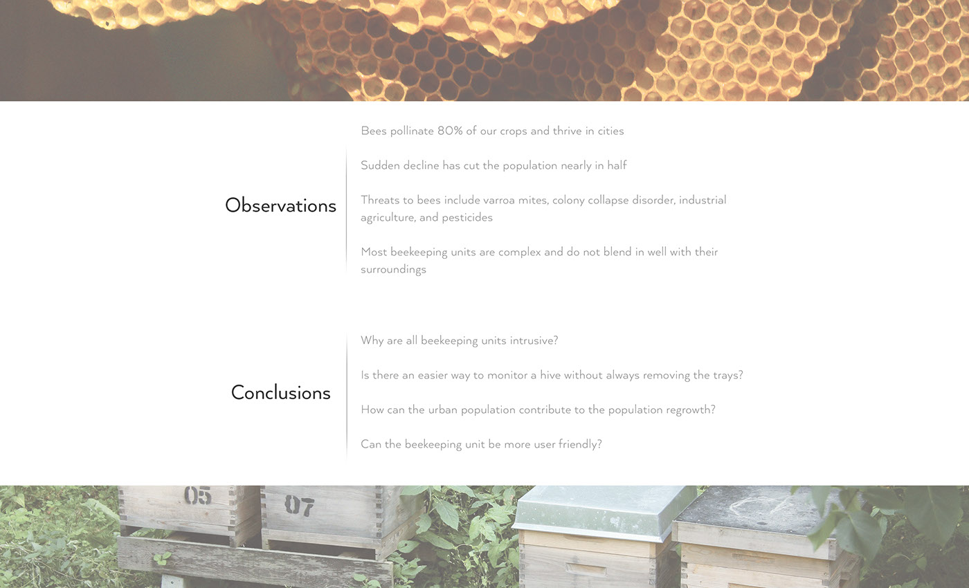 ecology，environment，city，honeybee，raise，