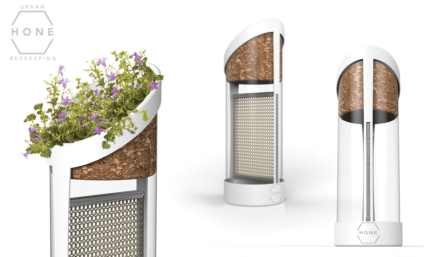 ecology，environment，city，honeybee，raise，