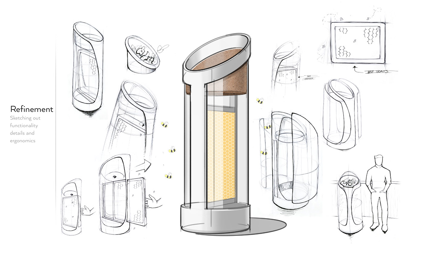 ecology，environment，city，honeybee，raise，