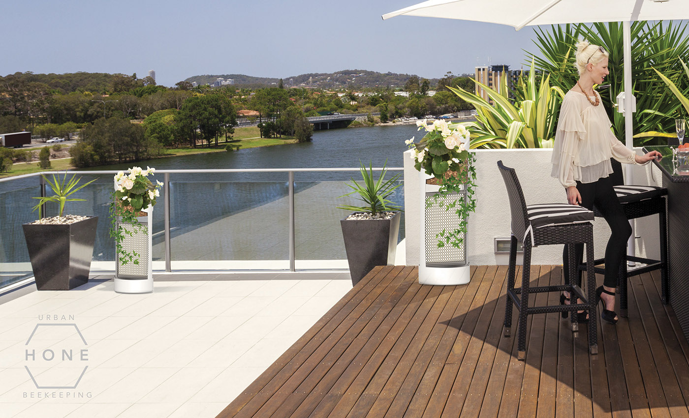 ecology，environment，city，honeybee，raise，