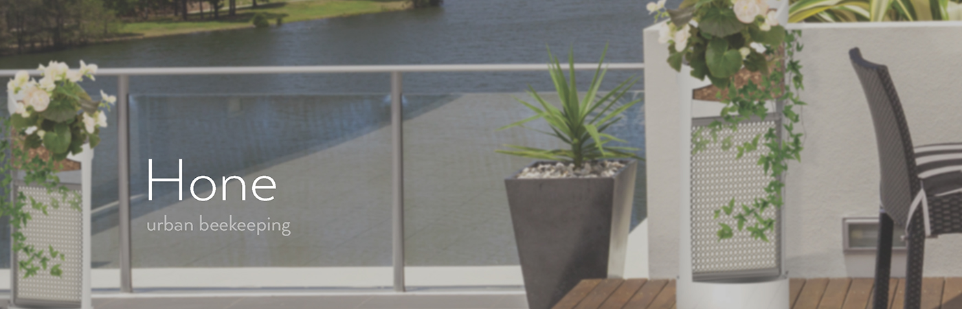 ecology，environment，city，honeybee，raise，