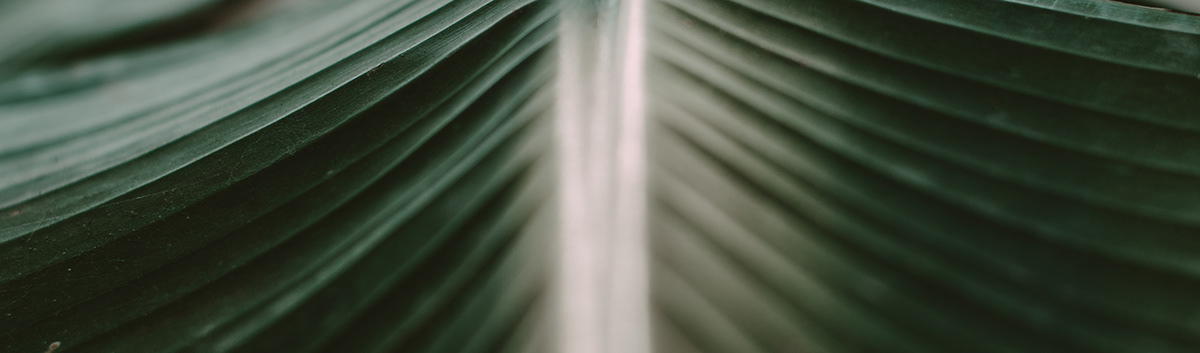 Wax heater，wax warmer，product design，industrial design，