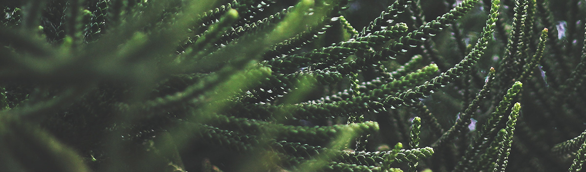 Wax heater，wax warmer，product design，industrial design，