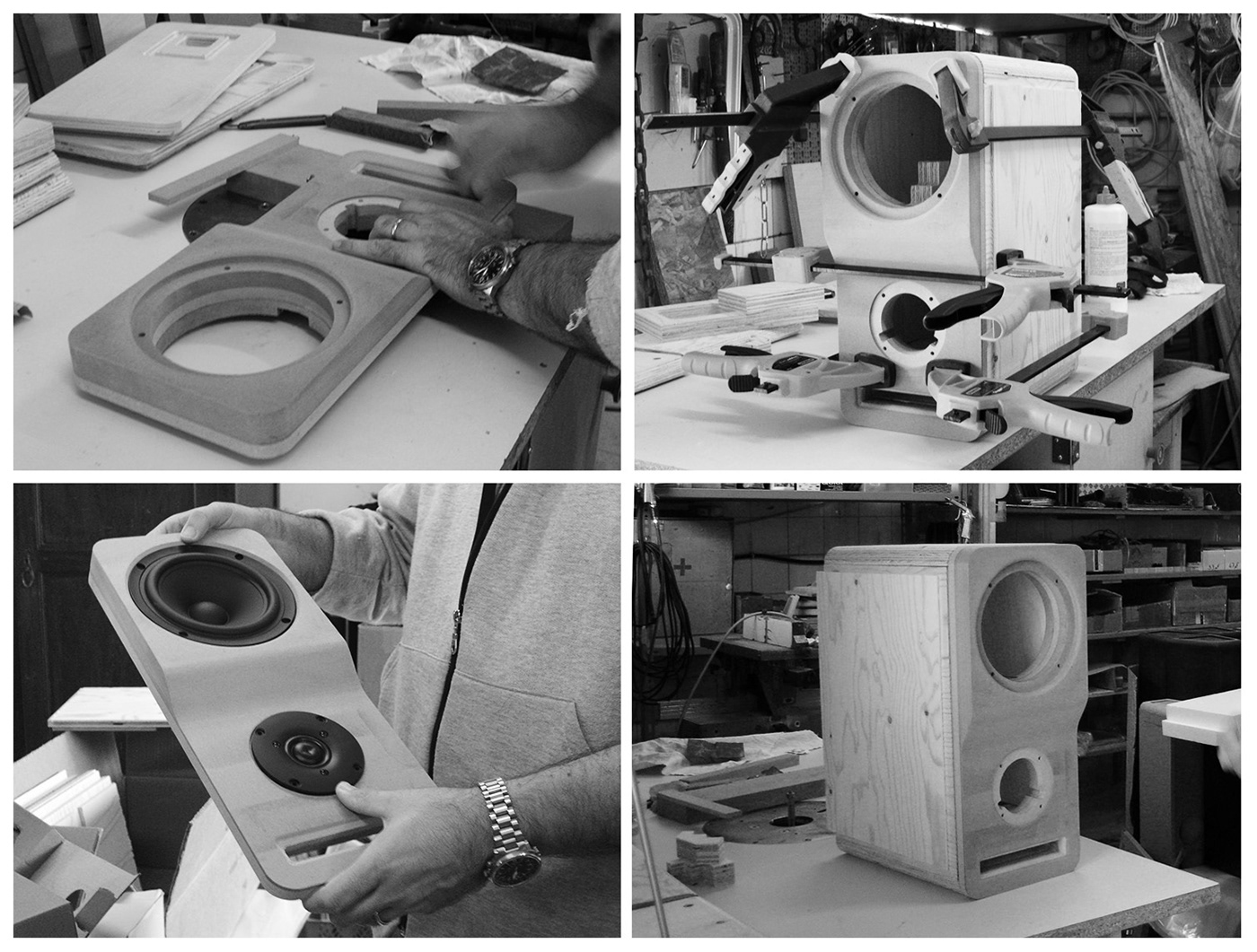 CIGNUS，Audio Stars，speaker，intelligence，Raul Froll à，