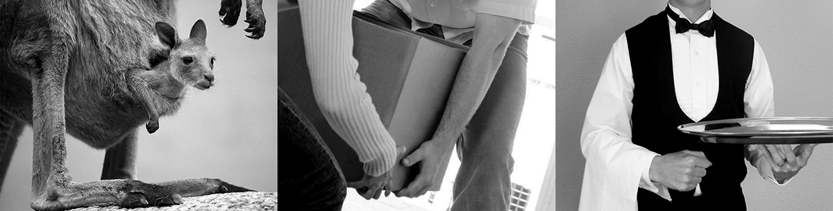 Kangaroo Robot，Kangaroo robot，artificial intelligence，Digital，