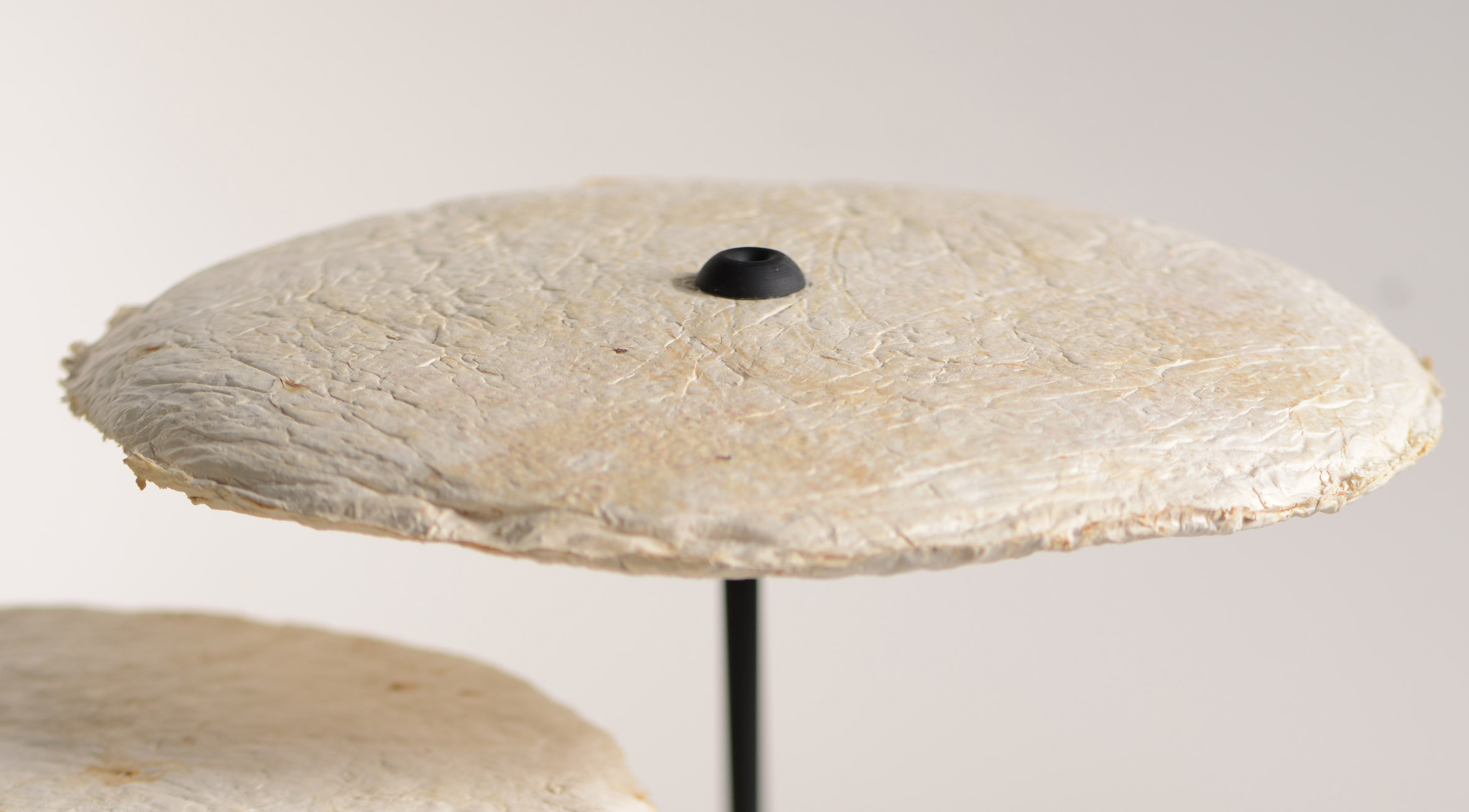 Desk lamp，Mushroom mycelium，white，
