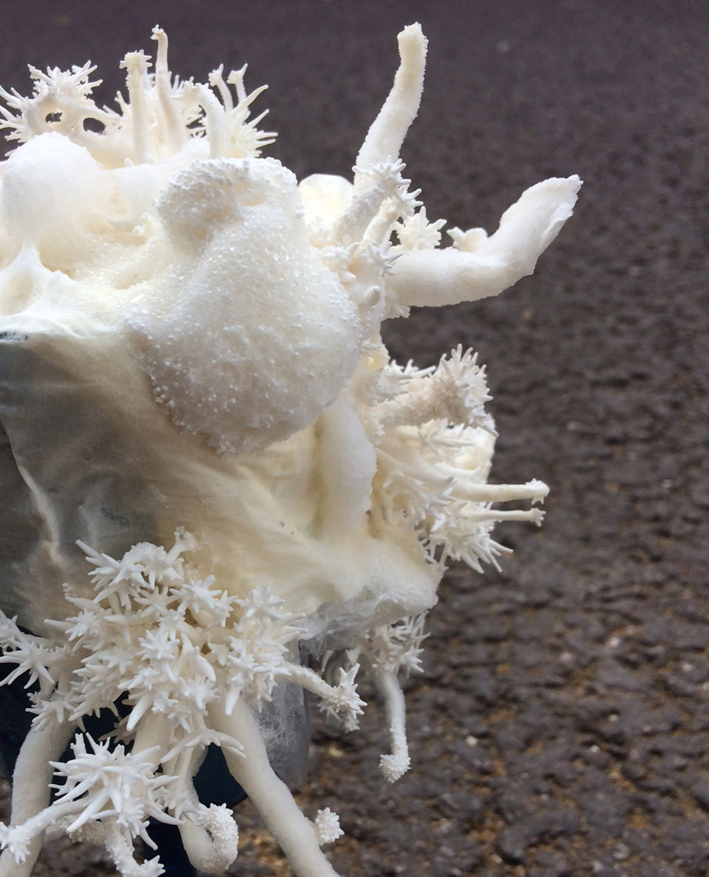 Desk lamp，Mushroom mycelium，white，